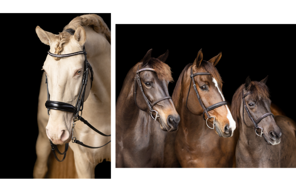 Equestrian Photography Comp